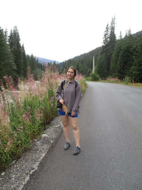  - 2017 - Obarsia Lotrului - prima zi