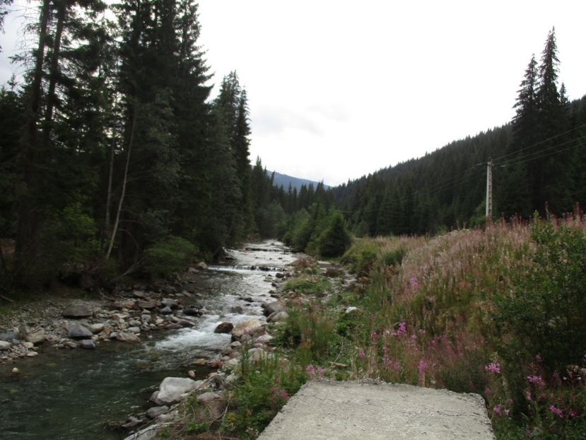  - 2017 - Obarsia Lotrului - prima zi