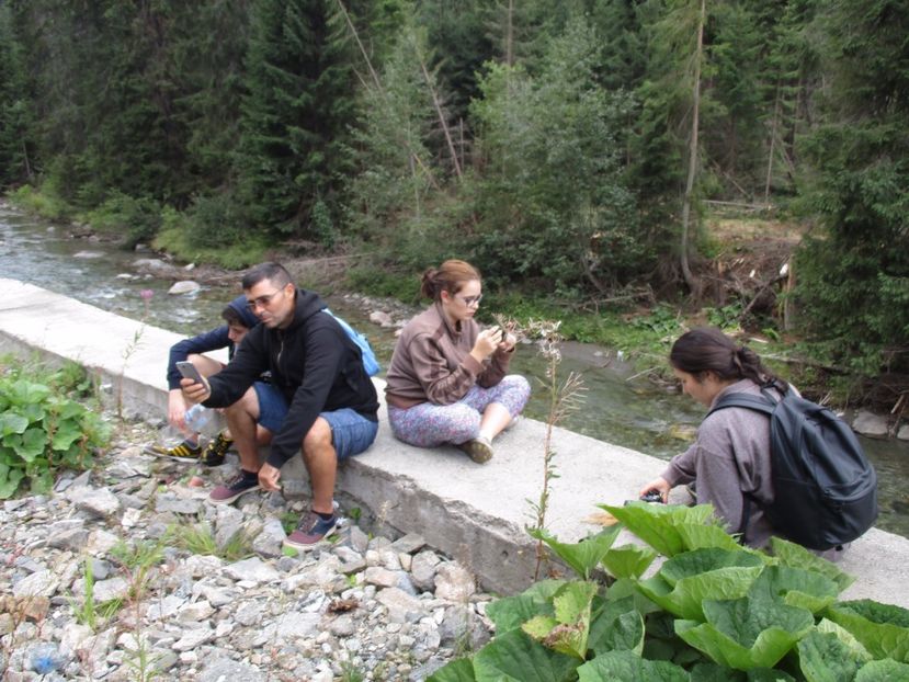  - 2017 - Obarsia Lotrului - prima zi