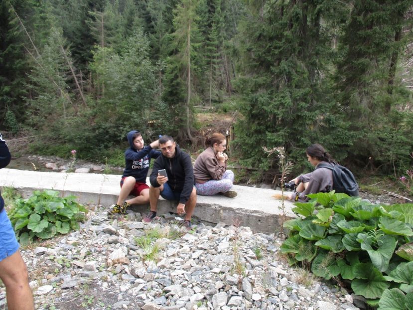  - 2017 - Obarsia Lotrului - prima zi