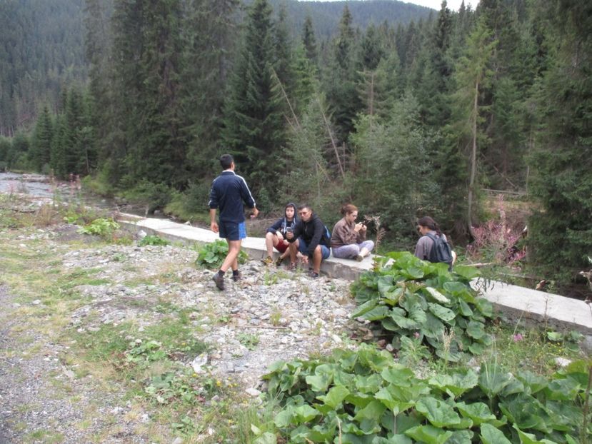  - 2017 - Obarsia Lotrului - prima zi