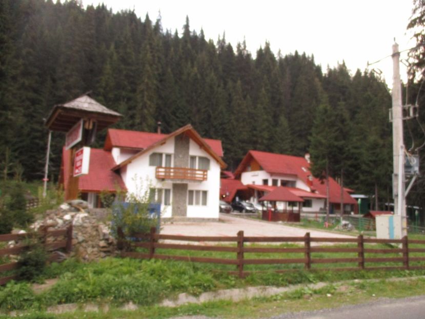  - 2017 - Obarsia Lotrului - prima zi