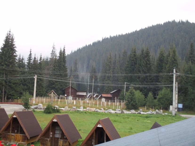  - 2017 - Obarsia Lotrului - prima zi