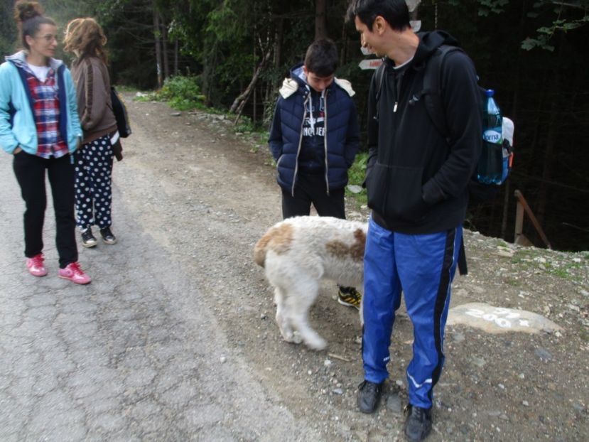  - 2017 - Obarsia Lotrului - prima zi