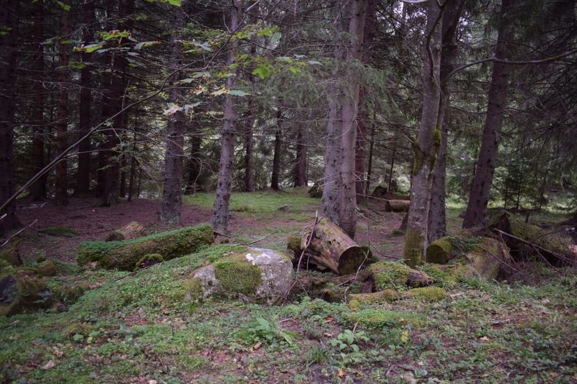  - 2017 -Obarsia Lotrului - a doua zi - traseul cu Refugiul Agatat