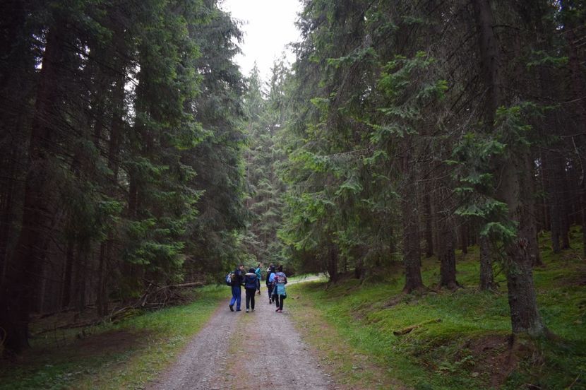  - 2017 -Obarsia Lotrului - a doua zi - traseul cu Refugiul Agatat