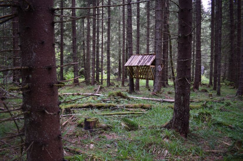  - 2017 -Obarsia Lotrului - a doua zi - traseul cu Refugiul Agatat