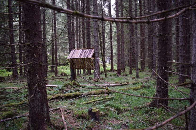  - 2017 -Obarsia Lotrului - a doua zi - traseul cu Refugiul Agatat