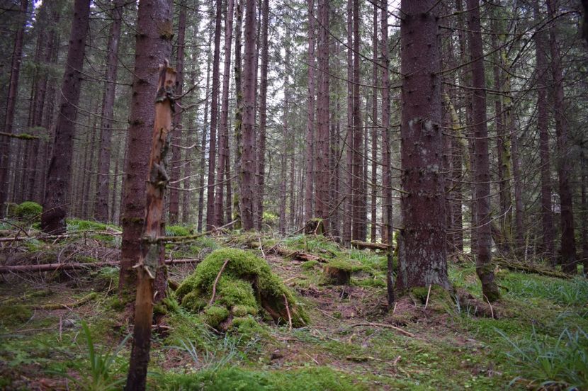  - 2017 -Obarsia Lotrului - a doua zi - traseul cu Refugiul Agatat