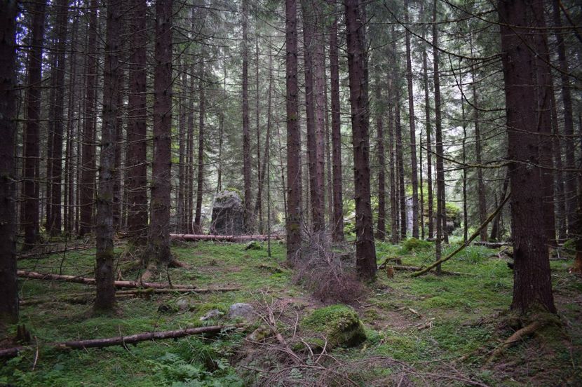  - 2017 -Obarsia Lotrului - a doua zi - traseul cu Refugiul Agatat