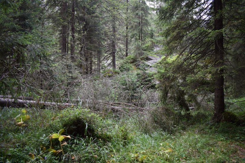  - 2017 -Obarsia Lotrului - a doua zi - traseul cu Refugiul Agatat