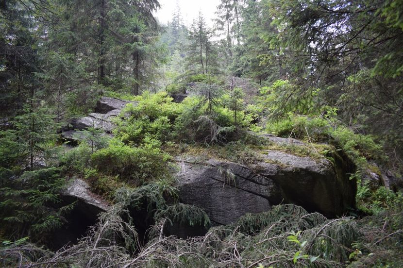  - 2017 -Obarsia Lotrului - a doua zi - traseul cu Refugiul Agatat