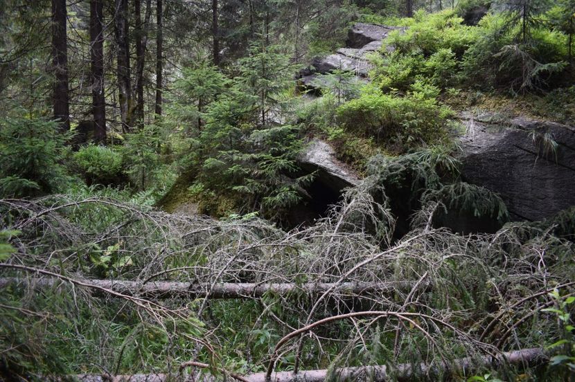  - 2017 -Obarsia Lotrului - a doua zi - traseul cu Refugiul Agatat