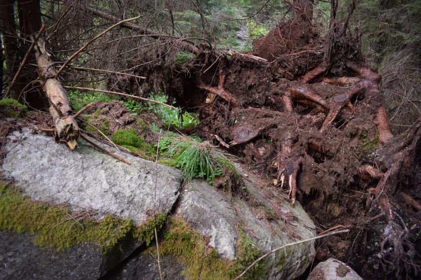  - 2017 -Obarsia Lotrului - a doua zi - traseul cu Refugiul Agatat