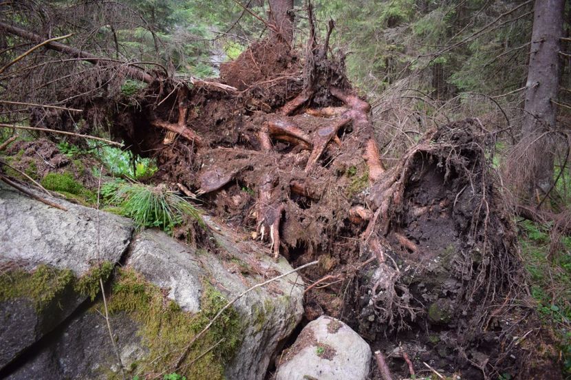  - 2017 -Obarsia Lotrului - a doua zi - traseul cu Refugiul Agatat