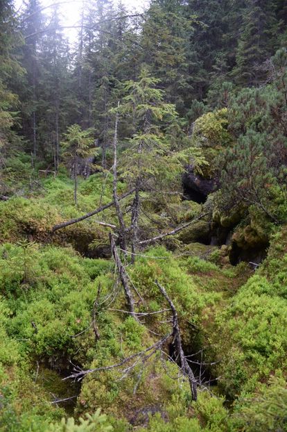  - 2017 -Obarsia Lotrului - a doua zi - traseul cu Refugiul Agatat