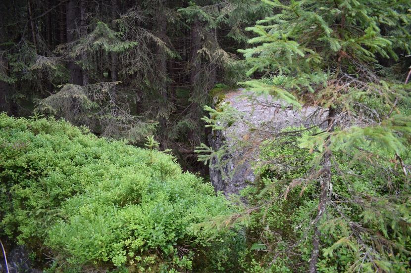  - 2017 -Obarsia Lotrului - a doua zi - traseul cu Refugiul Agatat