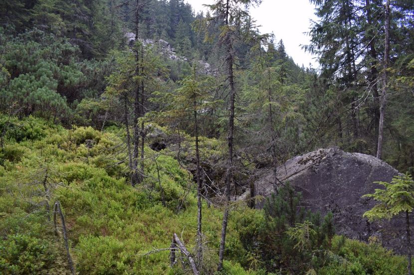  - 2017 -Obarsia Lotrului - a doua zi - traseul cu Refugiul Agatat