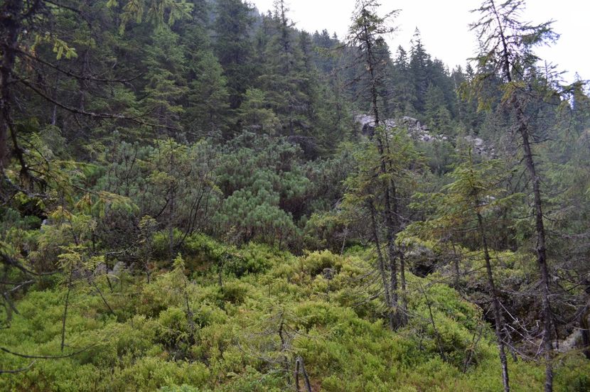  - 2017 -Obarsia Lotrului - a doua zi - traseul cu Refugiul Agatat