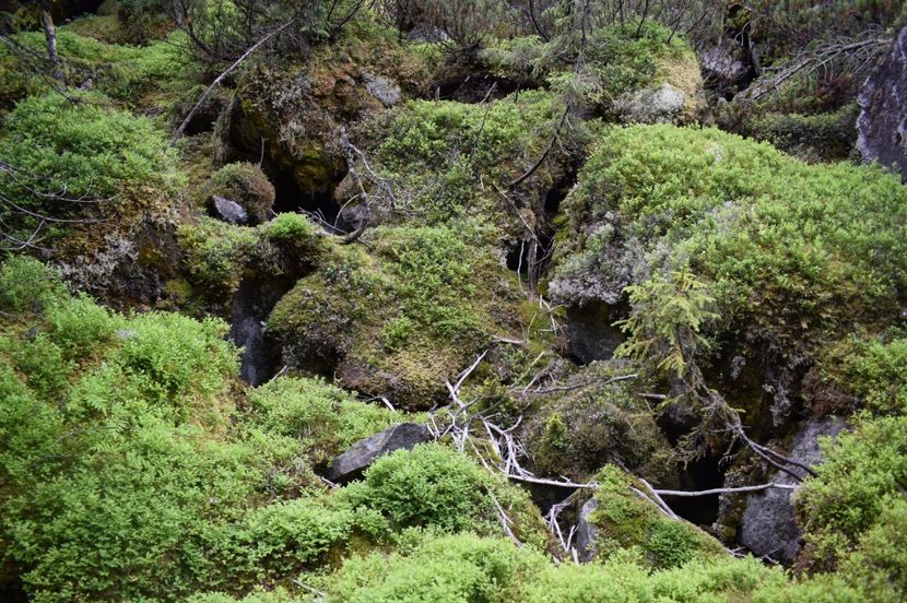 - 2017 -Obarsia Lotrului - a doua zi - traseul cu Refugiul Agatat