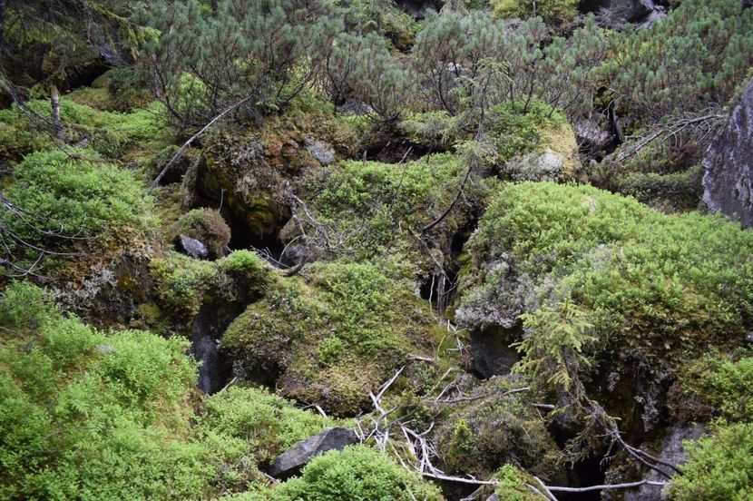  - 2017 -Obarsia Lotrului - a doua zi - traseul cu Refugiul Agatat
