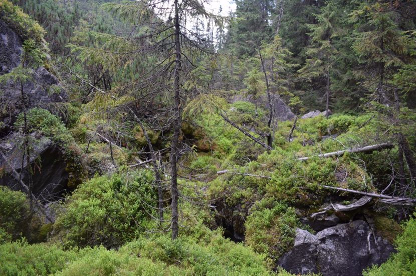  - 2017 -Obarsia Lotrului - a doua zi - traseul cu Refugiul Agatat