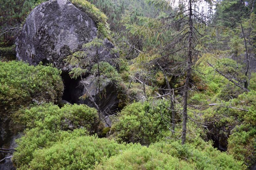  - 2017 -Obarsia Lotrului - a doua zi - traseul cu Refugiul Agatat