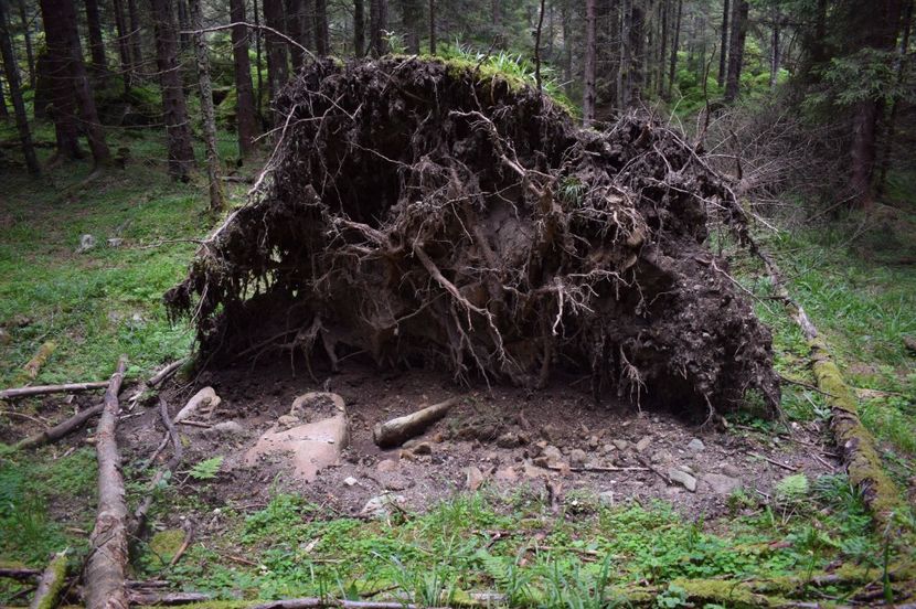  - 2017 -Obarsia Lotrului - a doua zi - traseul cu Refugiul Agatat