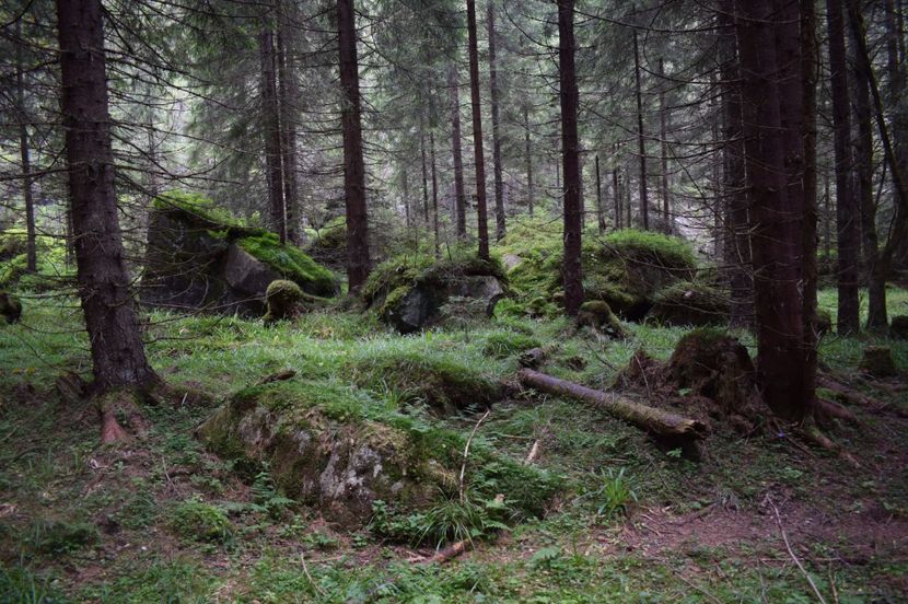  - 2017 -Obarsia Lotrului - a doua zi - traseul cu Refugiul Agatat