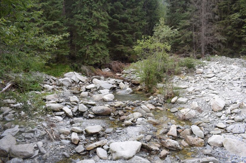  - 2017 -Obarsia Lotrului - a doua zi - traseul cu Refugiul Agatat