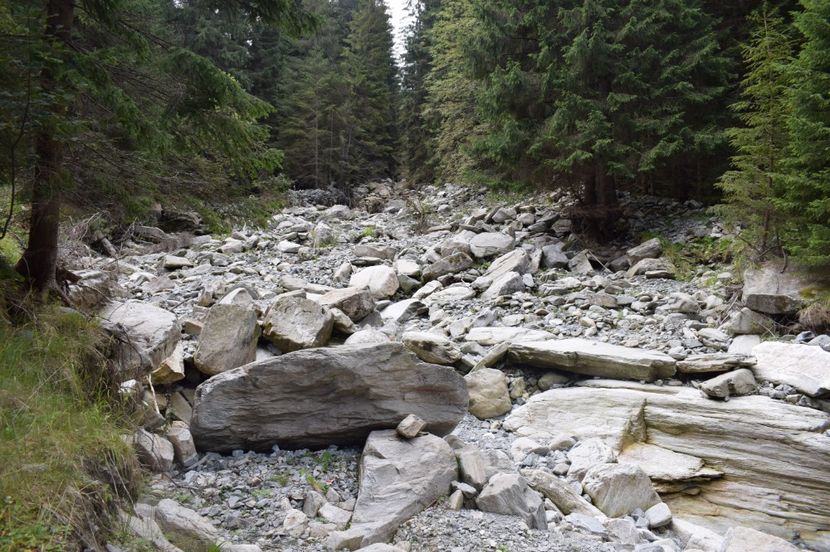  - 2017 -Obarsia Lotrului - a doua zi - traseul cu Refugiul Agatat