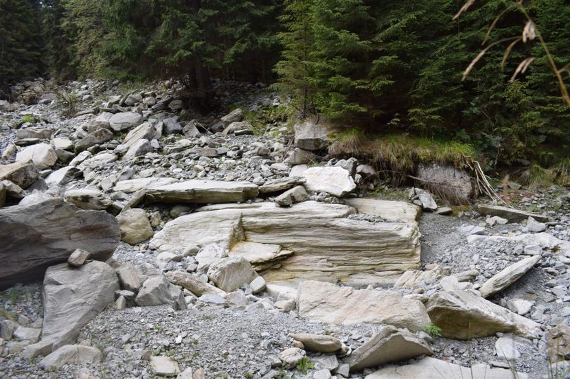  - 2017 -Obarsia Lotrului - a doua zi - traseul cu Refugiul Agatat