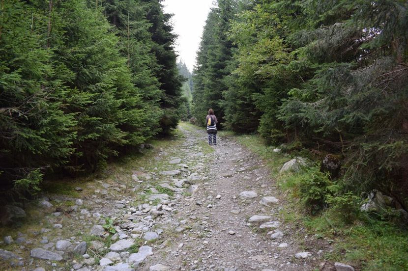  - 2017 -Obarsia Lotrului - a doua zi - traseul cu Refugiul Agatat