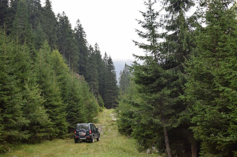  - 2017 -Obarsia Lotrului - a doua zi - traseul cu Refugiul Agatat