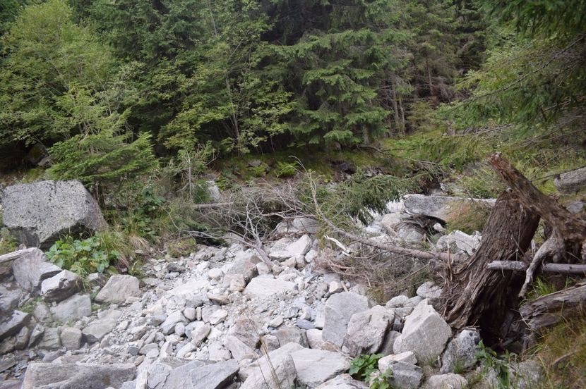  - 2017 -Obarsia Lotrului - a doua zi - traseul cu Refugiul Agatat