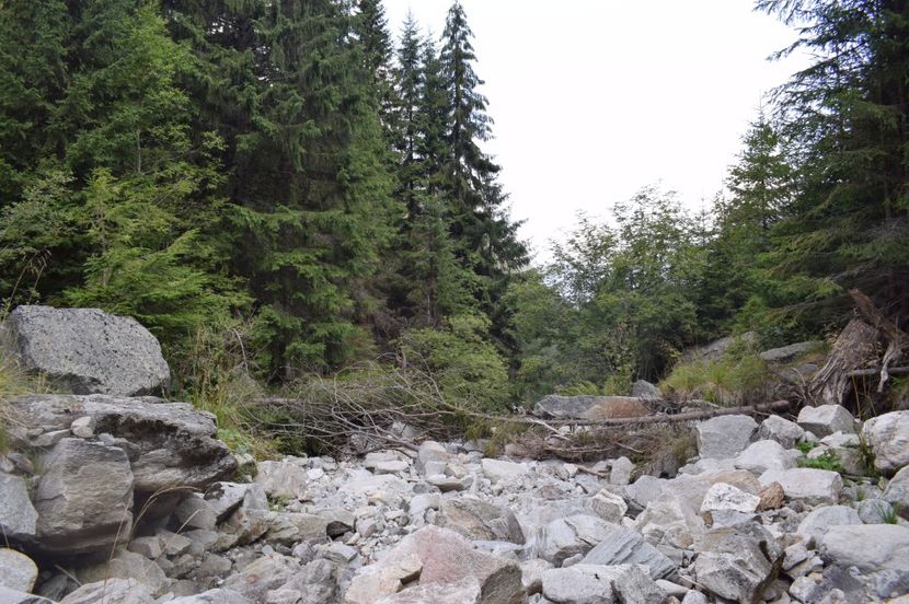  - 2017 -Obarsia Lotrului - a doua zi - traseul cu Refugiul Agatat