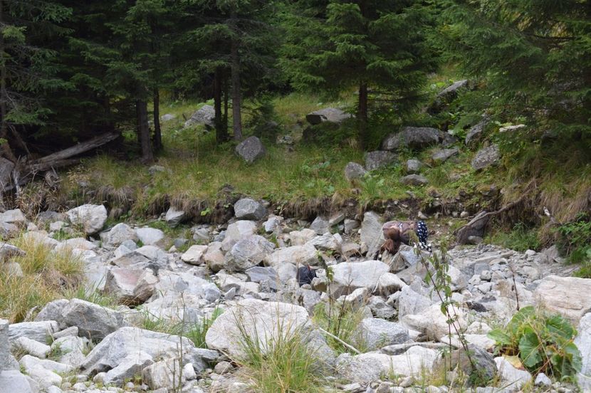  - 2017 -Obarsia Lotrului - a doua zi - traseul cu Refugiul Agatat