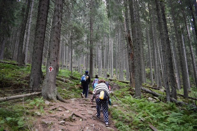  - 2017 -Obarsia Lotrului - a doua zi - traseul cu Refugiul Agatat