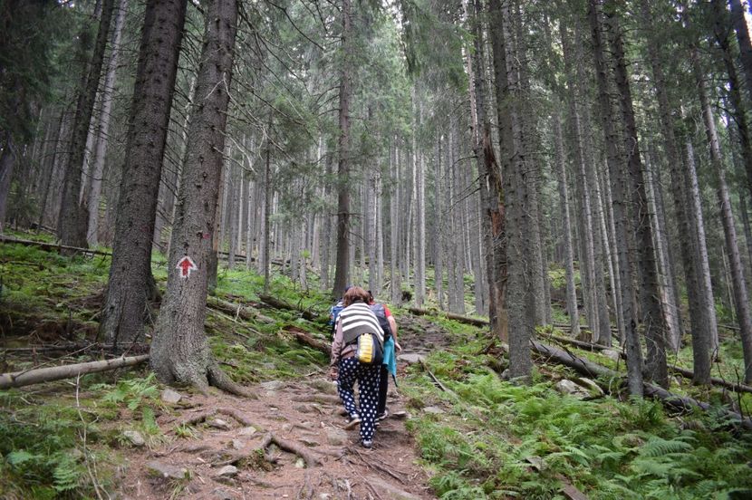  - 2017 -Obarsia Lotrului - a doua zi - traseul cu Refugiul Agatat