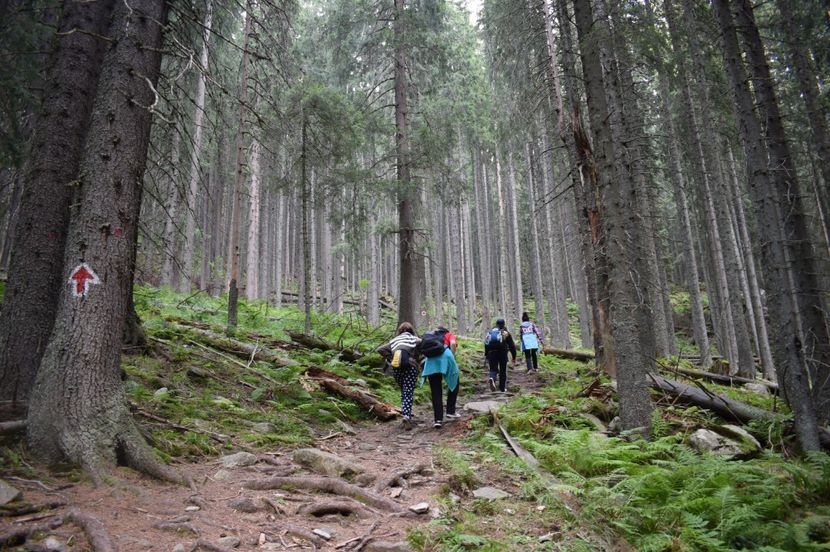  - 2017 -Obarsia Lotrului - a doua zi - traseul cu Refugiul Agatat