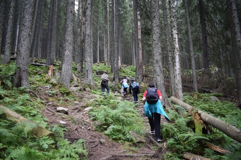  - 2017 -Obarsia Lotrului - a doua zi - traseul cu Refugiul Agatat