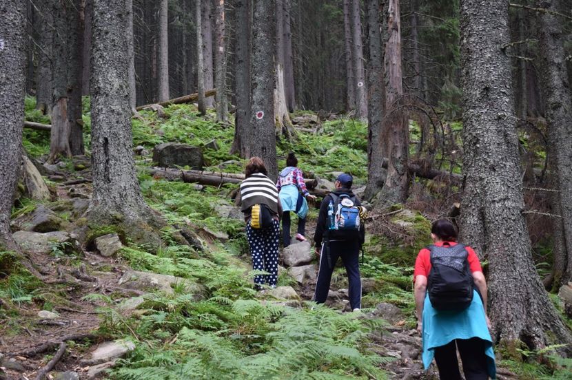 - 2017 -Obarsia Lotrului - a doua zi - traseul cu Refugiul Agatat