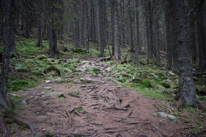  - 2017 -Obarsia Lotrului - a doua zi - traseul cu Refugiul Agatat