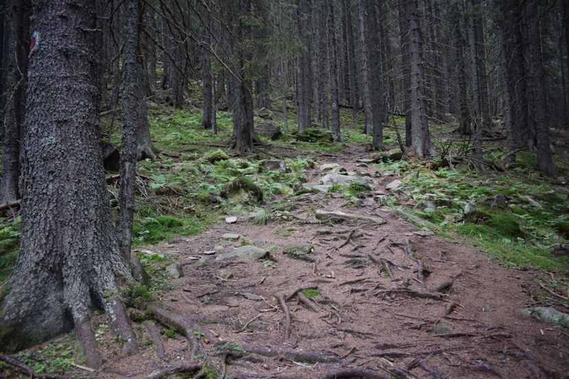  - 2017 -Obarsia Lotrului - a doua zi - traseul cu Refugiul Agatat