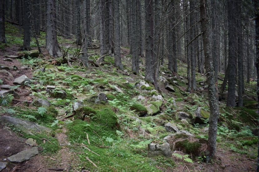  - 2017 -Obarsia Lotrului - a doua zi - traseul cu Refugiul Agatat