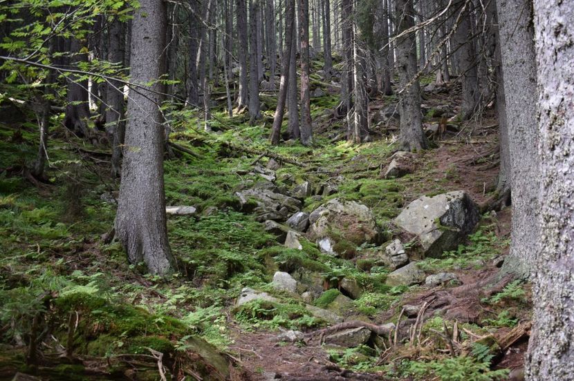  - 2017 -Obarsia Lotrului - a doua zi - traseul cu Refugiul Agatat