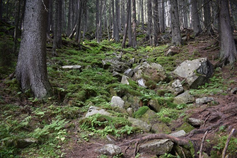  - 2017 -Obarsia Lotrului - a doua zi - traseul cu Refugiul Agatat