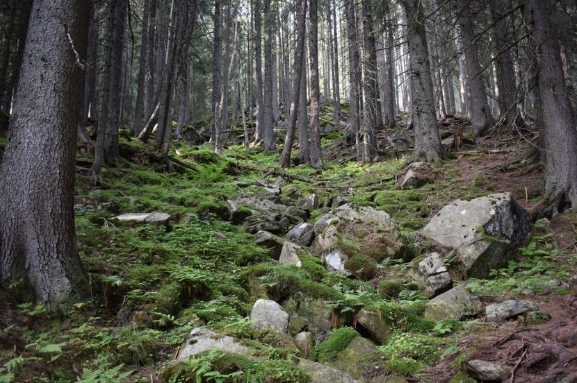  - 2017 -Obarsia Lotrului - a doua zi - traseul cu Refugiul Agatat