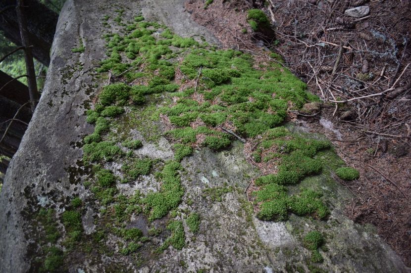  - 2017 -Obarsia Lotrului - a doua zi - traseul cu Refugiul Agatat