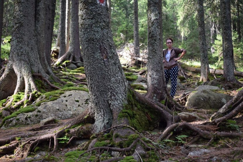  - 2017 -Obarsia Lotrului - a doua zi - traseul cu Refugiul Agatat